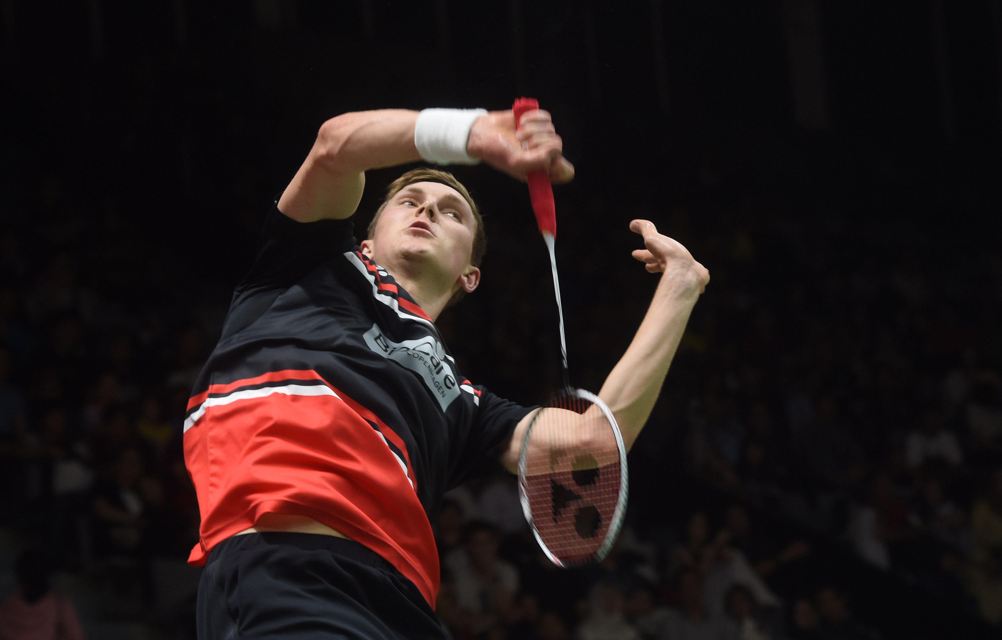 专家建议中 专家建议中