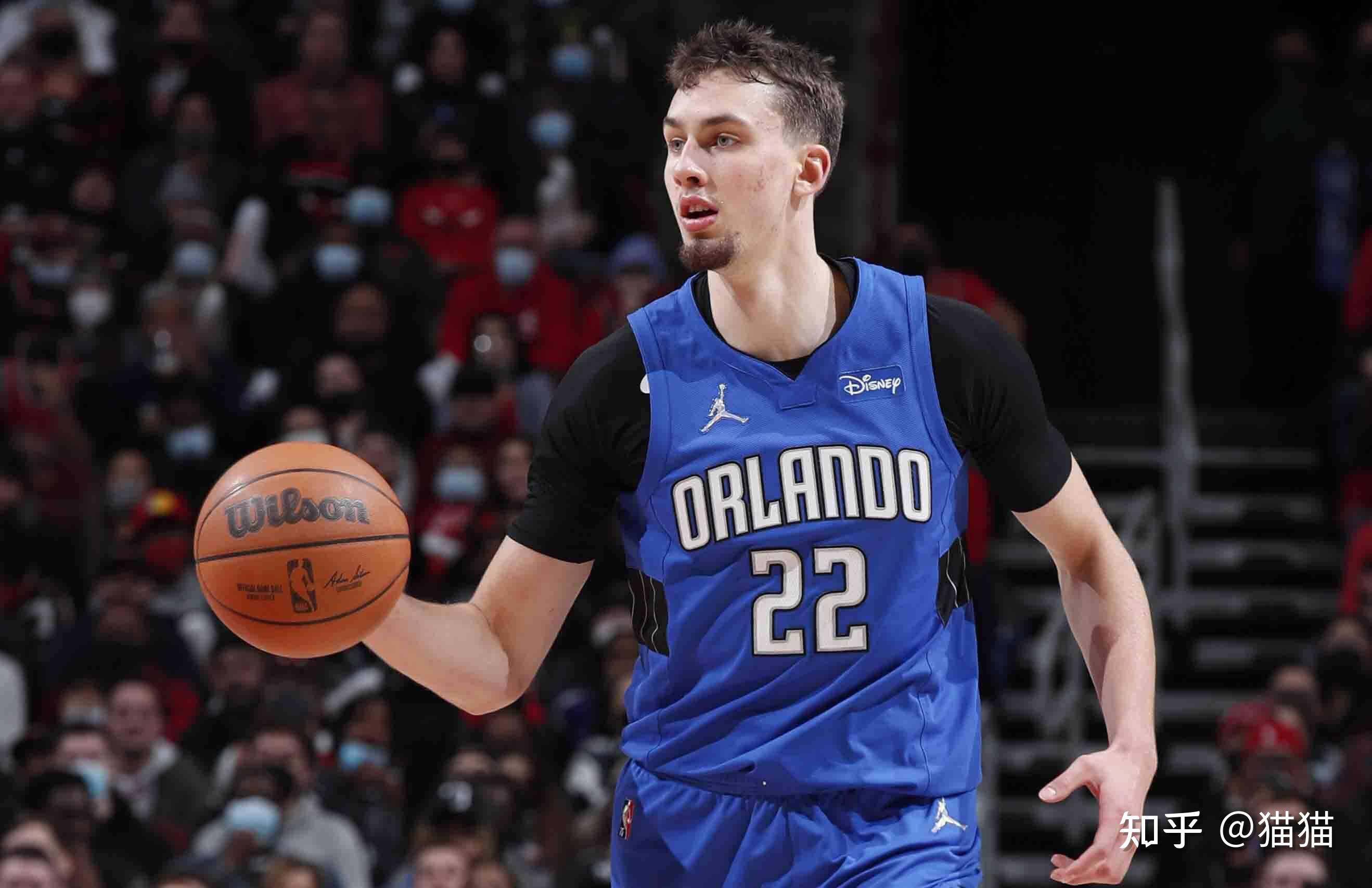 亚历山大作 亚历山大作