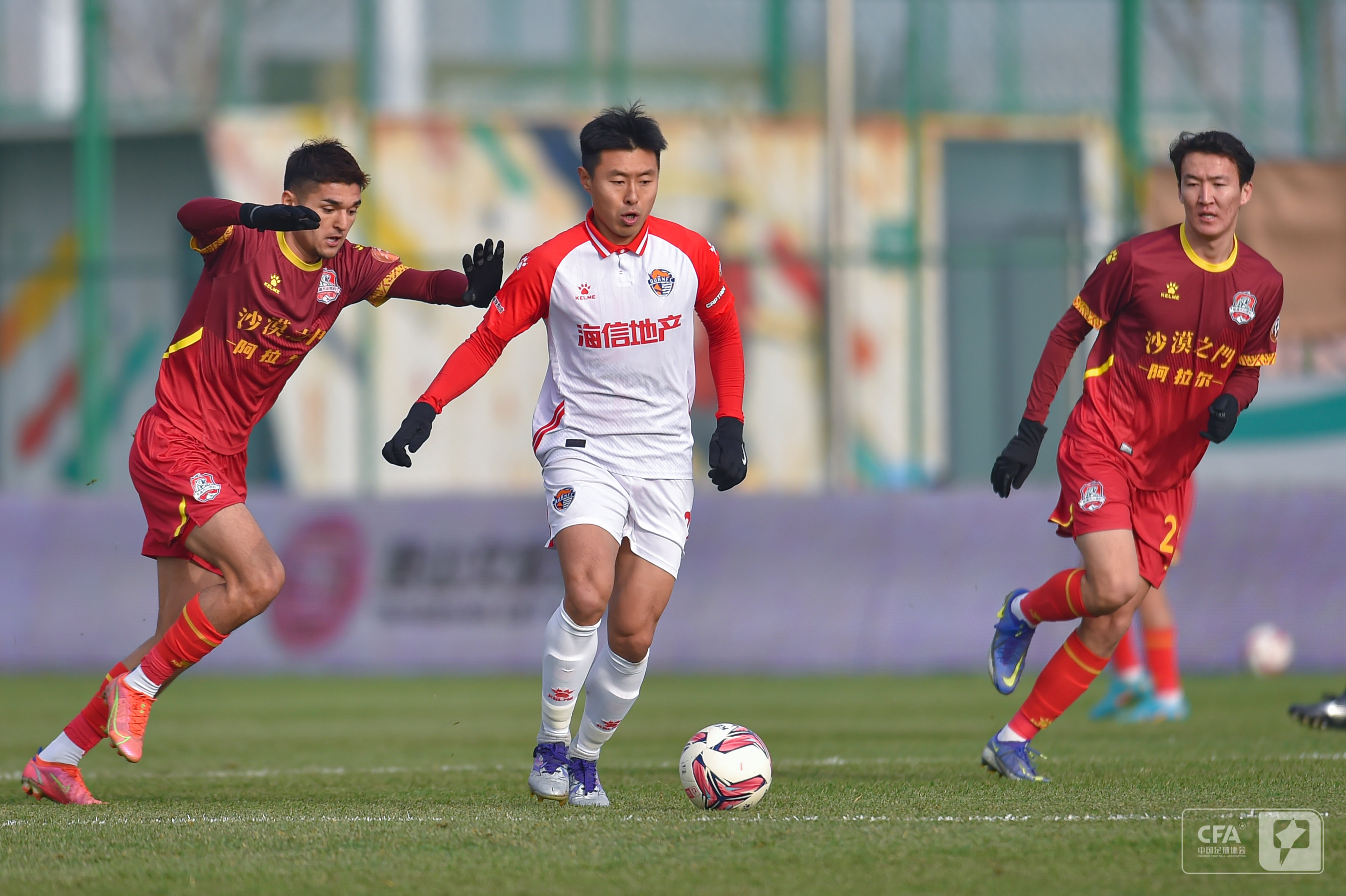 与魔物娘在 与魔物娘在